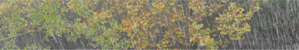 chuva-01