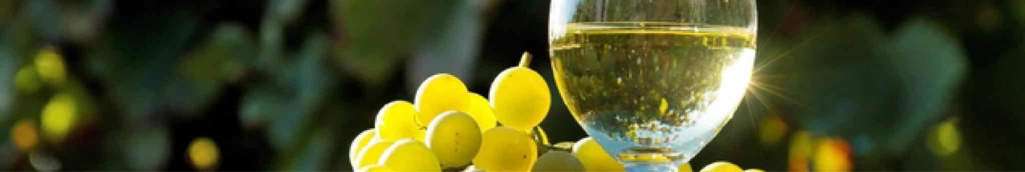 glass-french-white-wine-01