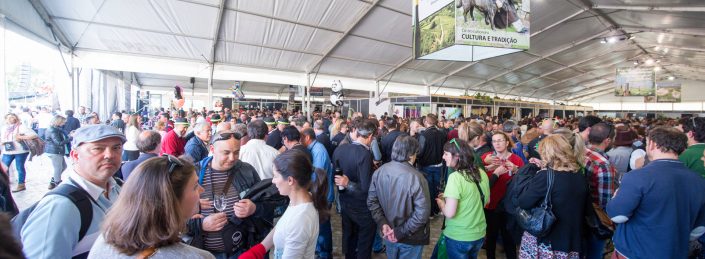 Festa do Alvarinho e do Fumeiro 2016 (8)