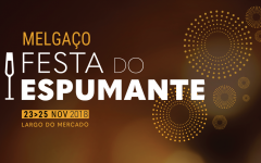https://www.cm-melgaco.pt/wp-content/uploads/2018/11/cover-Google-Espumante18-1-_resized240x150.png