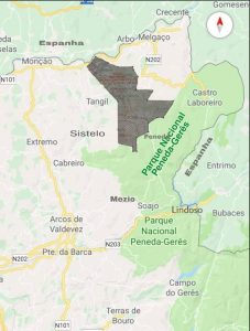 FOJO