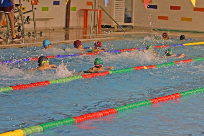 piranhas 01
