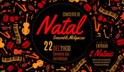 https://www.cm-melgaco.pt/wp-content/uploads/2020/07/Concerto-de-Natal-1030x636-_resized256x150.jpg