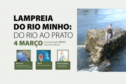 https://www.cm-melgaco.pt/wp-content/uploads/2020/07/EventoNI-_resized256x170.png