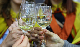https://www.cm-melgaco.pt/wp-content/uploads/2020/07/FESTA-DO-ALVARINHO-E-DO-FUMEIRO-57-_resized256x150.jpg