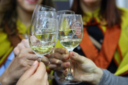 https://www.cm-melgaco.pt/wp-content/uploads/2020/07/FESTA-DO-ALVARINHO-E-DO-FUMEIRO-57-_resized256x170.jpg