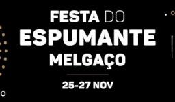 https://www.cm-melgaco.pt/wp-content/uploads/2020/07/a0f227518a47dba6f7722037fcb14f7c_FestaEspumante2016-_resized256x150.jpg