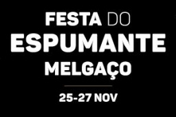 https://www.cm-melgaco.pt/wp-content/uploads/2020/07/a0f227518a47dba6f7722037fcb14f7c_FestaEspumante2016-_resized256x170.jpg