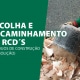 Recolha de resíduos de construção e demolição