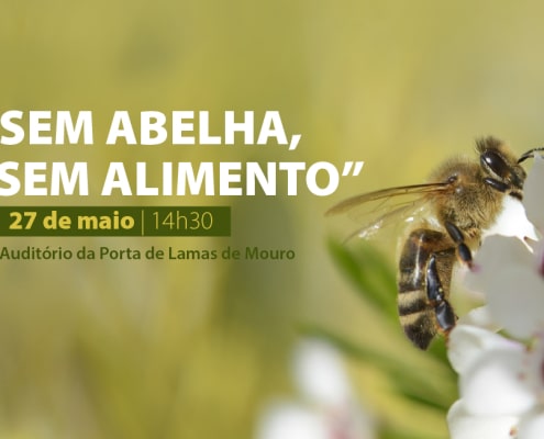 PROJETO “SEM ABELHA, SEM ALIMENTO” PRETENDE ALERTAR PARA A IMPORTÂNCIA DAS ABELHAS