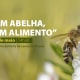PROJETO “SEM ABELHA, SEM ALIMENTO” PRETENDE ALERTAR PARA A IMPORTÂNCIA DAS ABELHAS