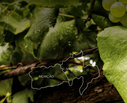 Rota do Alvarinho de Monção & Melgaço apresenta-se com imagem renovada e forte presença online